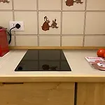 公寓 Il Cadorino 瓦莱迪卡多雷
