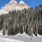Il Cadorino